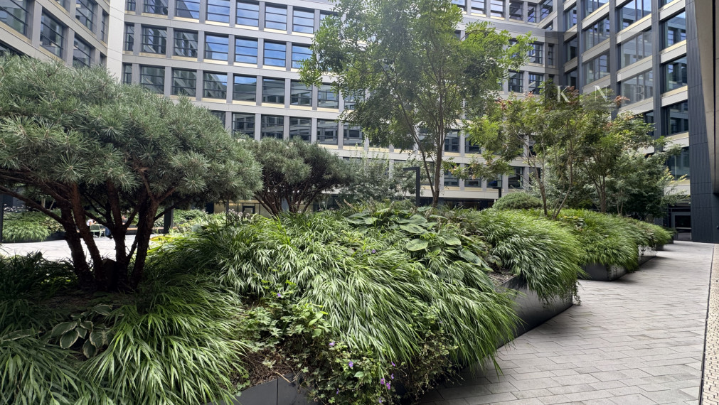 Prenájom rožného obchodného priestoru 147 m² v skvelej lokalite v centre mesta Bratislava