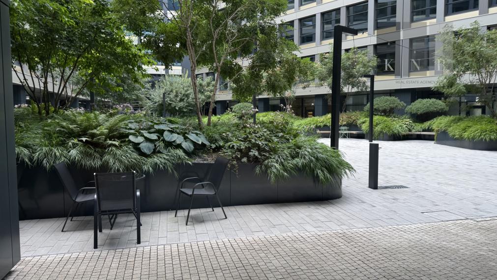 Prenájom obchodného priestoru 217 m² v skvelej lokalite v centre mesta Bratislava