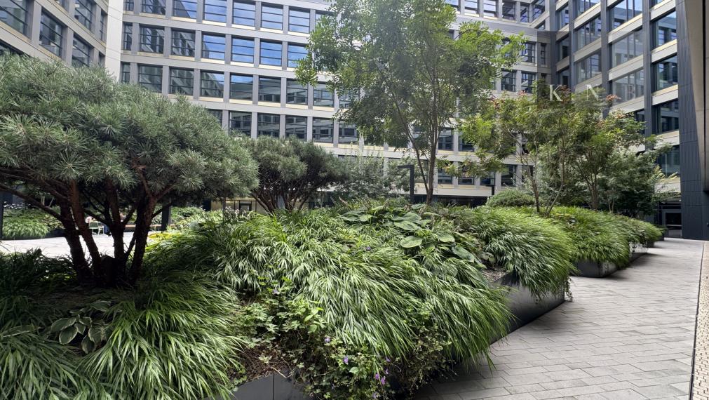 Prenájom obchodného priestoru 333 m² v skvelej lokalite v centre mesta Bratislava